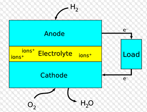 hydrolysis